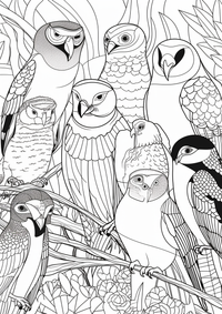 Colorido pájaros es un dibujo de animales para colorear gratis, con contornos negros claros y detalles fáciles de imprimir para niños. Abre el archivo PNG, imprímelo en A4 y úsalo en casa, en el jardín de infancia o en la escuela.