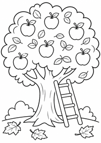 Apfelbaum mit Leiter ist ein kostenloses A4-Ausmalbild mit klaren schwarzen Konturen und großen einfachen Flächen für Kinder von 6 bis 7 Jahren.