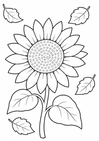 Sonnenblume mit Herbstblättern ist ein kostenloses A4-Ausmalbild mit klaren schwarzen Konturen und großen einfachen Flächen für Kinder von 6 bis 7 Jahren.