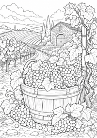 Weinlese im französischen Weinberg: Dieses kostenlose A4-Ausmalbild zeigt das französische Motiv mit klaren schwarzen Konturen auf weißem Hintergrund zum Ausdrucken.