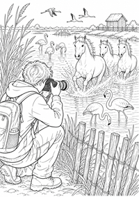 Eine junge Fotografin richtet ihre Kamera auf weiße Pferde im flachen Wasser; Flamingos, Schilf, ein Zaun und eine Salzwiesenhütte zeigen die Camargue. Als kostenloses A4-Ausmalbild mit klaren schwarzen Konturen ist das Motiv für Jugendliche gut druckbar und angenehm auszumalen.