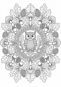 Eulenwald-Mandala ist ein kostenloses A4-Ausmalbild mit klaren schwarzen Konturen zum Ausdrucken.