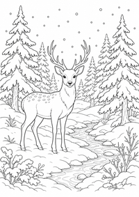 प्रकृति : Winterwald — कलरिंग पेज एक मुफ्त A4 कलरिंग पेज है, जिसमें स्पष्ट काली रूपरेखाएँ और रंग भरने के लिए साफ़ क्षेत्र हैं। पंजीकरण आवश्यक नहीं।