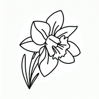 Erwecken Sie diese wunderbare Narzissen-Blume mit Ihrer Kreativität zum Leben! Diese detaillierte Vorlage eignet sich perfekt für eine entspannte Malzeit. Downloaden Sie jetzt und genießen Sie das Ausmalen!