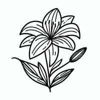 Entdecke die wunderschöne Malvorlage einer Lilienblume! Diese detaillierte Zeichnung einer Lilie mit Blatt und Knospe ist perfekt für entspannende Ausmalmomente. Lass deiner Kreativität freien Lauf und bringe diese elegante Blume mit deinen Lieblingsfarben zum Strahlen!