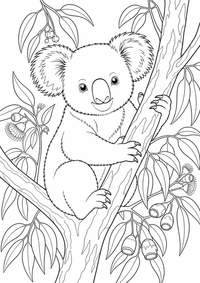 Koala में a Eucalyptus पेड़ — कलरिंग पेज एक मुफ्त A4 कलरिंग पेज है, जिसमें स्पष्ट काली रूपरेखाएँ और रंग भरने के लिए साफ़ क्षेत्र हैं। पंजीकरण आवश्यक नहीं।
