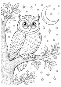 Eule im Mondlicht es un dibujo animales gratis para imprimir en A4, con contornos negros claros.
