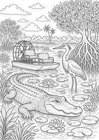 Everglades Wetland is a free USA coloring page with clear black outlines. Print the PNG on A4 for home, kindergarten or school.