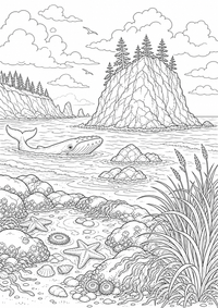 Oregon Coast is a free USA coloring page with clear black outlines. Print the PNG on A4 for home, kindergarten or school.