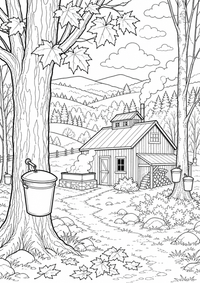 Vermont Maple Farm is a free USA coloring page with clear black outlines. Print the PNG on A4 for home, kindergarten or school.