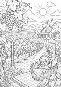 California Vineyard is a free USA coloring page with clear black outlines. Print the PNG on A4 for home, kindergarten or school.