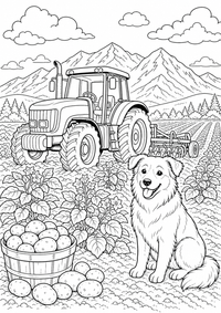 Idaho Potato Farm is a free USA coloring page with clear black outlines. Print the PNG on A4 for home, kindergarten or school.