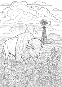 Oklahoma Prairie is a free USA coloring page with clear black outlines. Print the PNG on A4 for home, kindergarten or school.