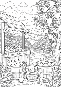 Georgia Peach Orchard is a free USA coloring page with clear black outlines. Print the PNG on A4 for home, kindergarten or school.